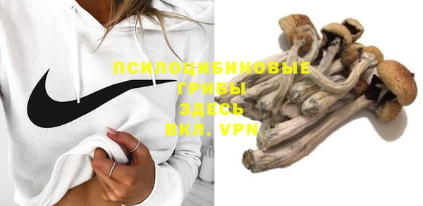 марки nbome Карпинск