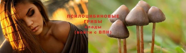 кокаин Богородск