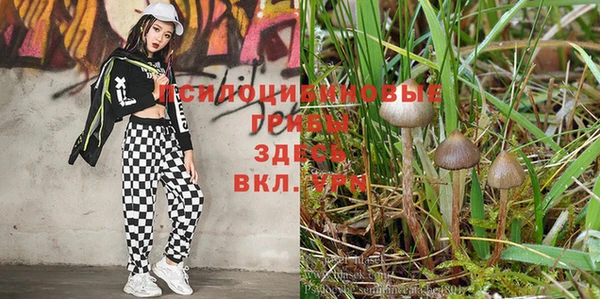 альфа пвп VHQ Богданович