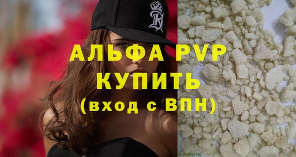 хмурый Белокуриха